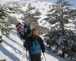 Camminare con le racchette da neve 